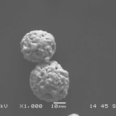 Agglomerated And Sintered Nickel Chromium-Chromium Carbide Powder