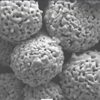 Spherical Cr3C2 20NiCr Chromium Carbide Powder WOKA7102 Thermal Spraying Powder
