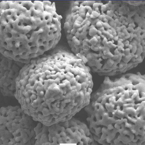 Spherical Cr3C2 20NiCr Chromium Carbide Powder WOKA7102 Thermal Spraying Powder